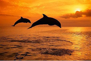 《蛇之守望者》4月26日发售 新预告展示奇幻冒险